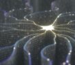 Neuronale Netze: Grundlagen, Anwendungen und Beispiele