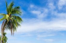 Reiseversicherung: Bei einer Reise nach Hawaii bieten sich mehrere Reiserversicherungen an.
