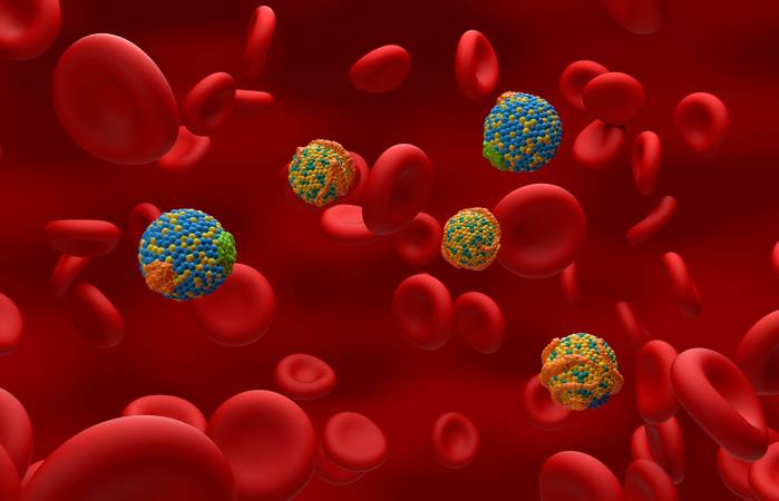  Um die Cholesterinwerte zu ermitteln, nimmt der Arzt oder eine medizinische Fachkraft Ihnen Blut ab. (Foto: Adobe Stock- LASZLO)