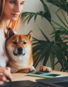 Positive Auswirkungen von Hunden am Arbeitsplatz für Mitarbeiter und (Foto: AdobeStock - iana_kolesnikova 334847866)