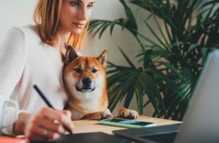 Positive Auswirkungen von Hunden am Arbeitsplatz für Mitarbeiter und (Foto: AdobeStock - iana_kolesnikova 334847866)