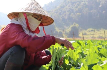 ADRA ruft zum Handeln gegen den Hunger auf (Foto: ADRA Laos)