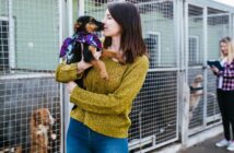 Tierheim Paderborn: Mitarbeiter mit Herz für ihre Vierbeiner (Foto: AdobeStock - 236373390 hedgehog94)