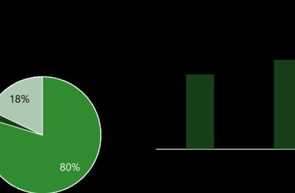 Energieversorger nutzen Filterdaten zur gezielten Produktentwicklung und effektiven Positionierung Wechslerstudie Energie erstes Halbjahr 2025 liefert Insights zu (Foto: KREUTZER Consulting GmbH)