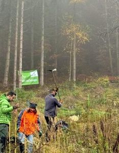 60 Helfer pflanzen 2500 Roteichen und Bergahorn im November (Foto: ARJES GmbH)