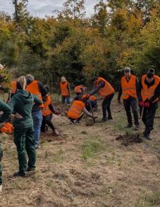 Devoteam und Waldfreunde pflanzen 500 Bäume für nachhaltige (Foto: Devoteam GmbH)