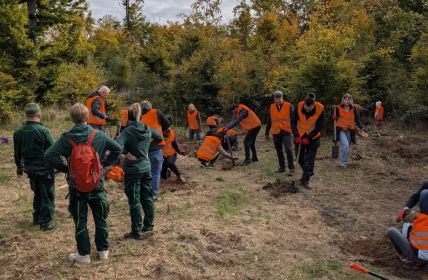 Devoteam und Waldfreunde pflanzen 500 Bäume für nachhaltige (Foto: Devoteam GmbH)