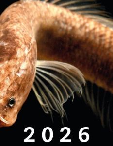 Fotokalender One of a Kind verbindet Logistik mit (Foto: Senckenberg)