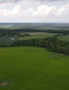 Saxovent Renewables übernimmt 81,8 MWp Solarprojekt südlich von (Foto: Saxovent Smart Eco Investments GmbH)