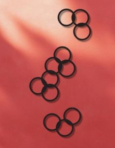 Pulverbeschichtete Stahlblech-Rankgitter aus Sachsen bieten effiziente und dauerhafte (Foto: Max Knobloch Nachf. GmbH)