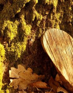 Bestattungskosten seit 2019 um mehr als zwanzig Prozent (Foto: AdobeStock - ImageSine - 333505249)