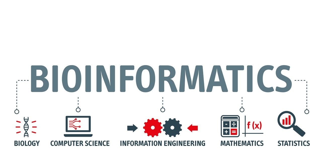 FaBI schreibt erneut Dissertationspreis für exzellente herausragende Bioinformatik-Arbeiten (Foto: AdobeStock - Trueffelpix - 404800631)