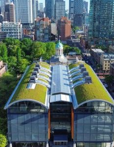 Historischer Markt trifft moderne Architektur mit Tonnendachbegrünung und (Foto: Zinco)