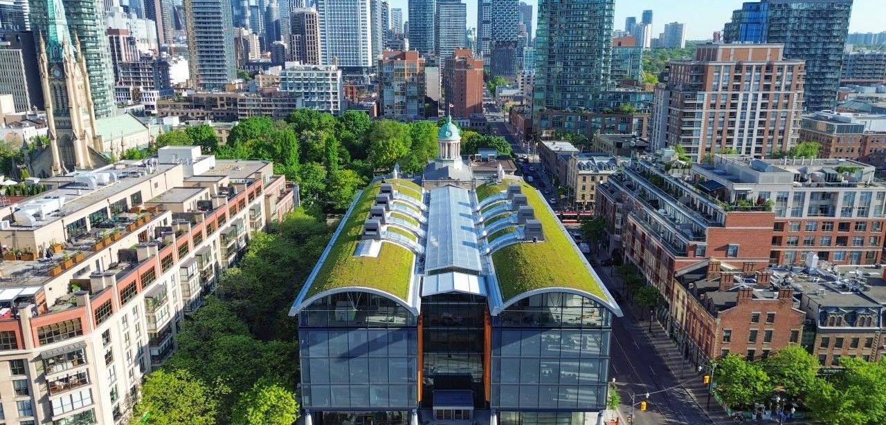 Historischer Markt trifft moderne Architektur mit Tonnendachbegrünung und (Foto: Zinco)
