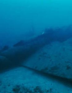 Rheinmetall kartiert B-17-Wrack 260 Meter Nordsee und bestätigt (Foto: Rheinmetall AG)