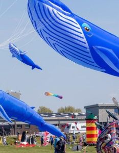 Drachenfest Dornumersiel lockt mit imposanten Flugshows und kostenfreiem (Foto: Tourismus GmbH Gemeinde Dornum)