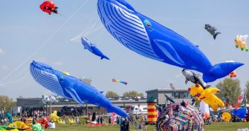 Drachenfest Dornumersiel lockt mit imposanten Flugshows und kostenfreiem (Foto: Tourismus GmbH Gemeinde Dornum)