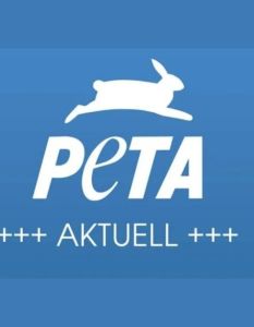 PETA dokumentiert brutale Gerteeinsätze von Alessandra Reich bei (Foto: PETA Deutschland e.V.)