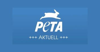 PETA dokumentiert brutale Gerteeinsätze von Alessandra Reich bei (Foto: PETA Deutschland e.V.)
