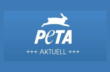 PETA dokumentiert brutale Gerteeinsätze von Alessandra Reich bei (Foto: PETA Deutschland e.V.)