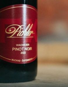 Lucas Pichler präsentiert Wachauer Pinot Noir auf Weinmesse (Foto: Co Merz)