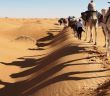 Vier individuelle Afrikareisen: Wandern, Safari, Genuss und Kamelabenteuer (Foto: Wikinger Reisen)