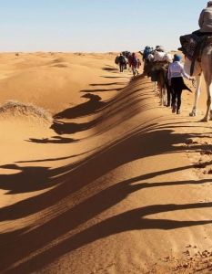 Vier individuelle Afrikareisen: Wandern, Safari, Genuss und Kamelabenteuer (Foto: Wikinger Reisen)