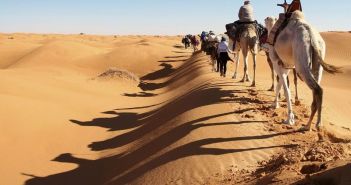 Vier individuelle Afrikareisen: Wandern, Safari, Genuss und Kamelabenteuer (Foto: Wikinger Reisen)
