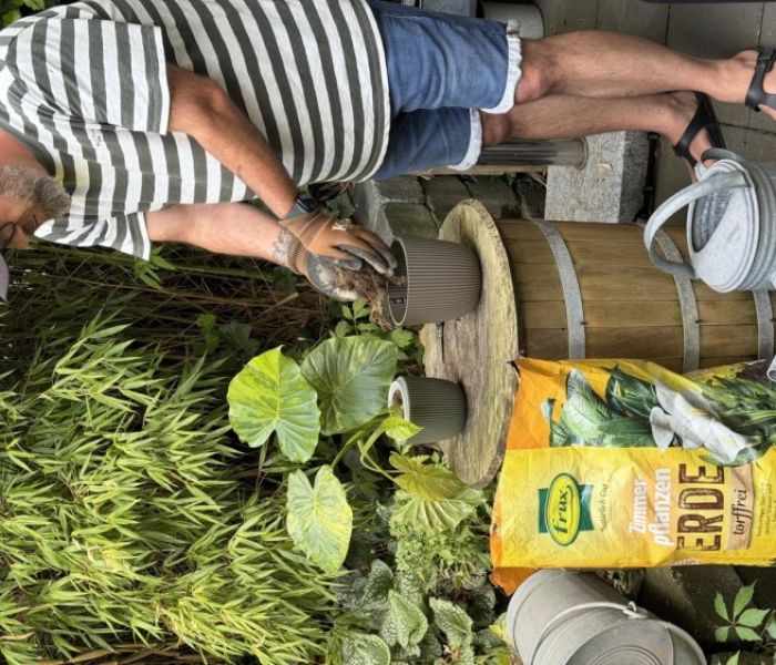 Warum Schimmel auf der Erde entsteht - und was wirklich hilft (Foto: Peter Mecklenburg, Instagram @kopflastigs_garten)